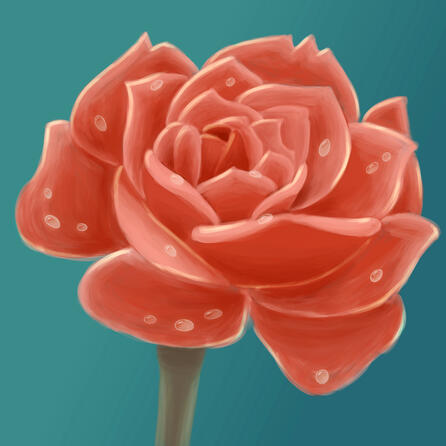 &quot;Rose at Morning&quot; Study