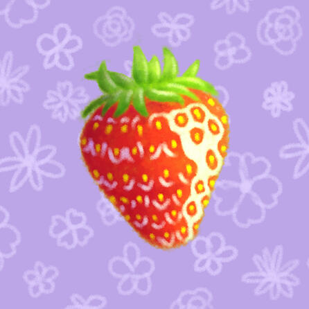 Strawberry Study